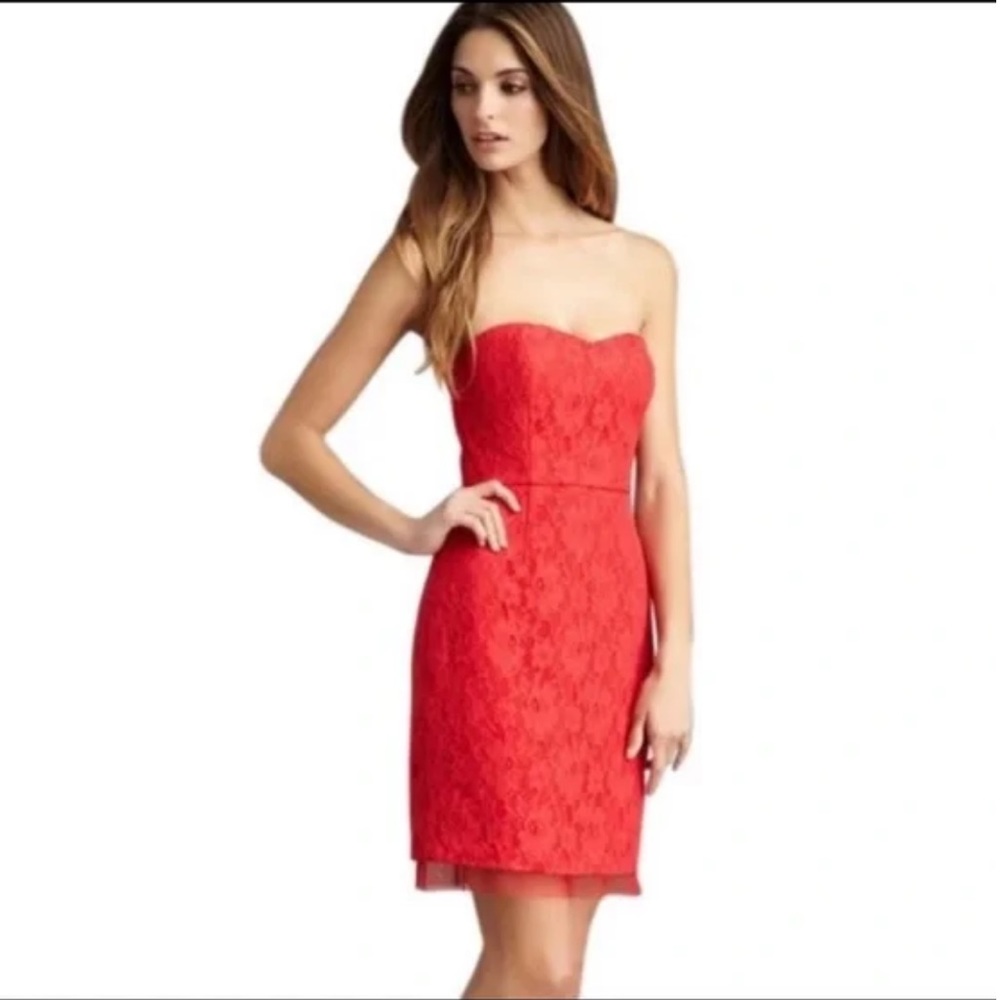 BCBGMaxAzria Roselle Dress